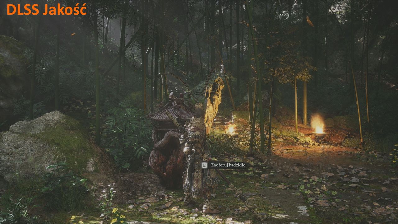 NVIDIA GeForce RTX 5090 Founders Edition - Black Myth Wukong DLSS