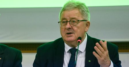 Pryszczyca w Polsce? Minister rolnictwa uspokaja