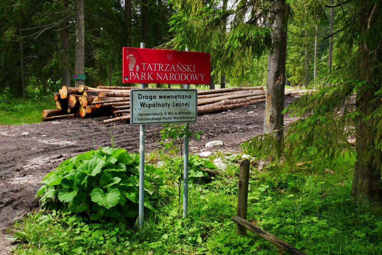 Tatry z dzieckiem – gdzie warto pójść, by było bezpiecznie i ciekawie?