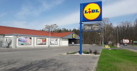 Lidl kusi promocjami. Sporo zaoszczędzisz kupując owoce i mięso