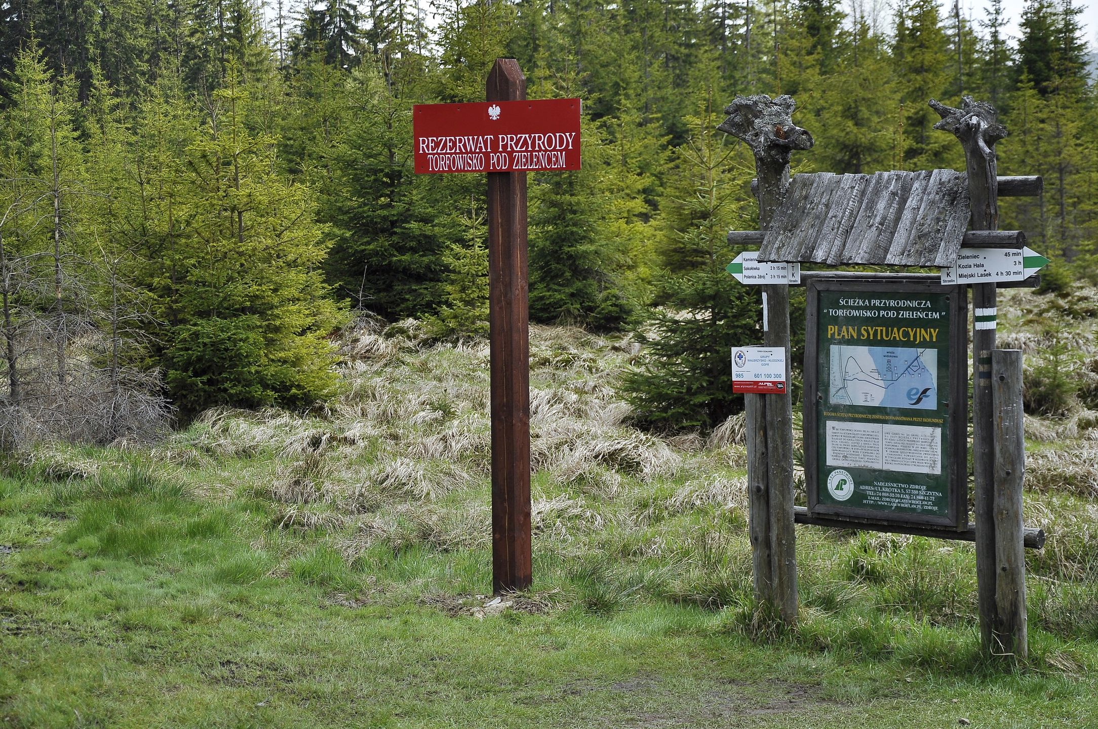 Rezerwat Przyrody Torfowisko 