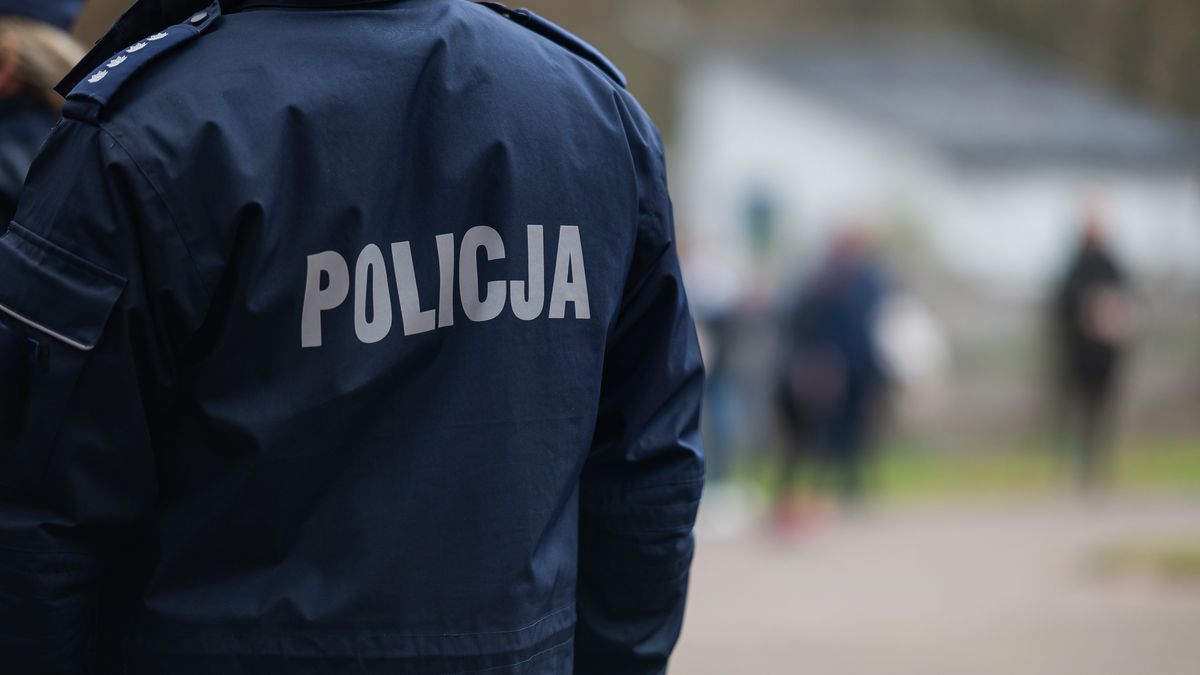 policja, napis, mundurowe, niebiescy, ochrona, polska, mundur