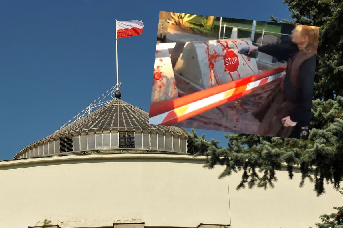 Sejm Obywatele RP wtargnęli na teren kompleksu parlamentarnego