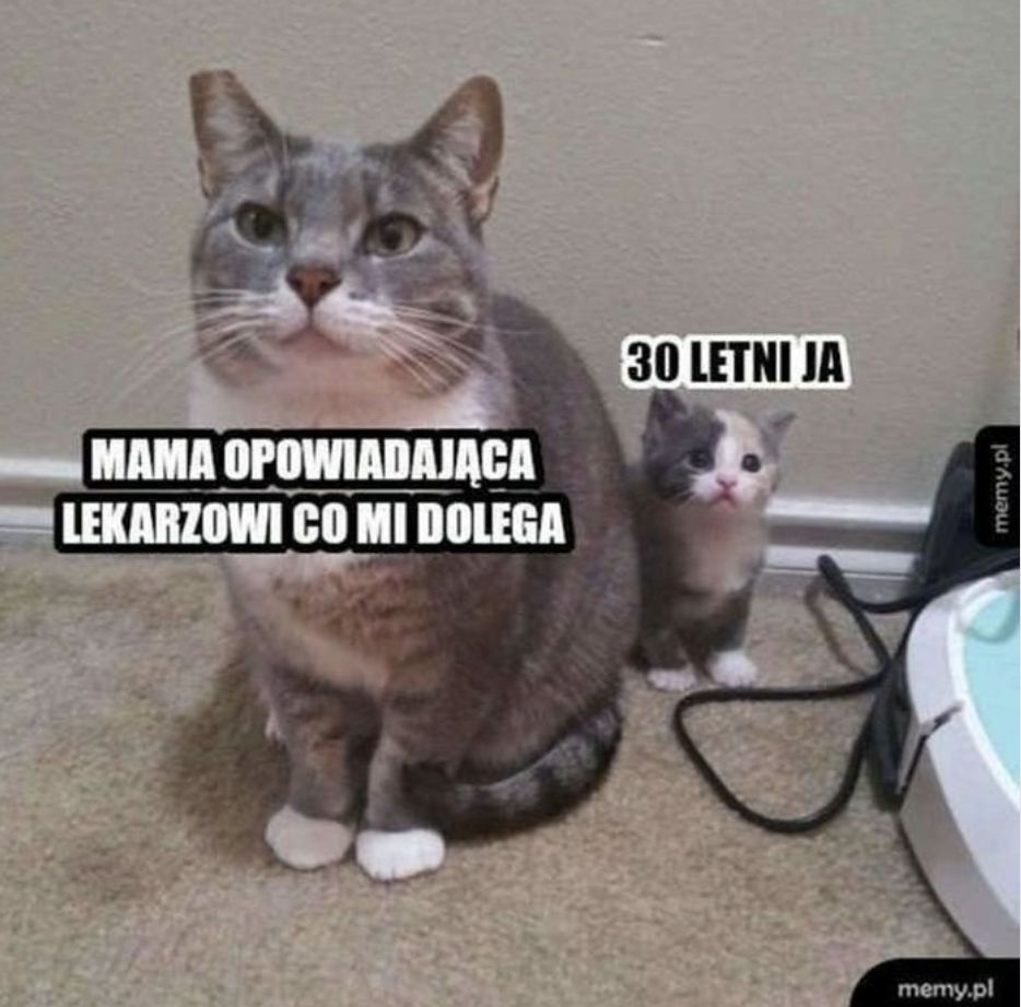 Memy na Dzień Matki