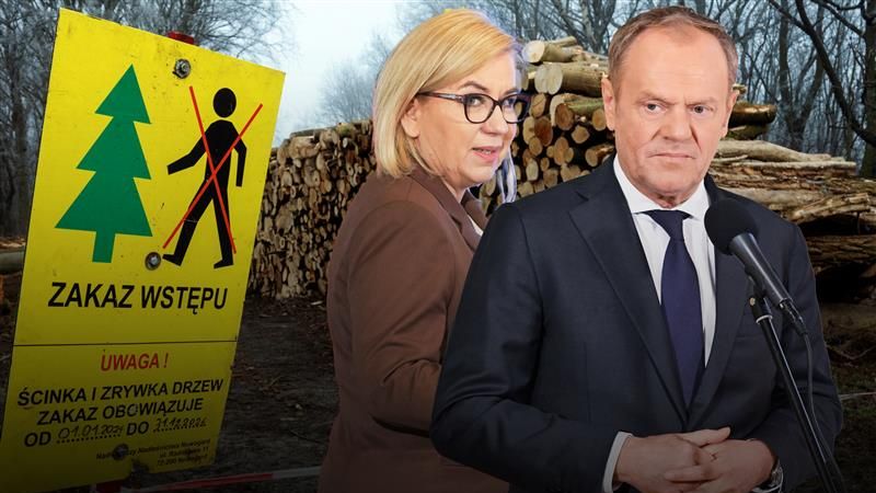   W 2024 r. w porównaniu do 2023 roku eksport polskiego drewna d