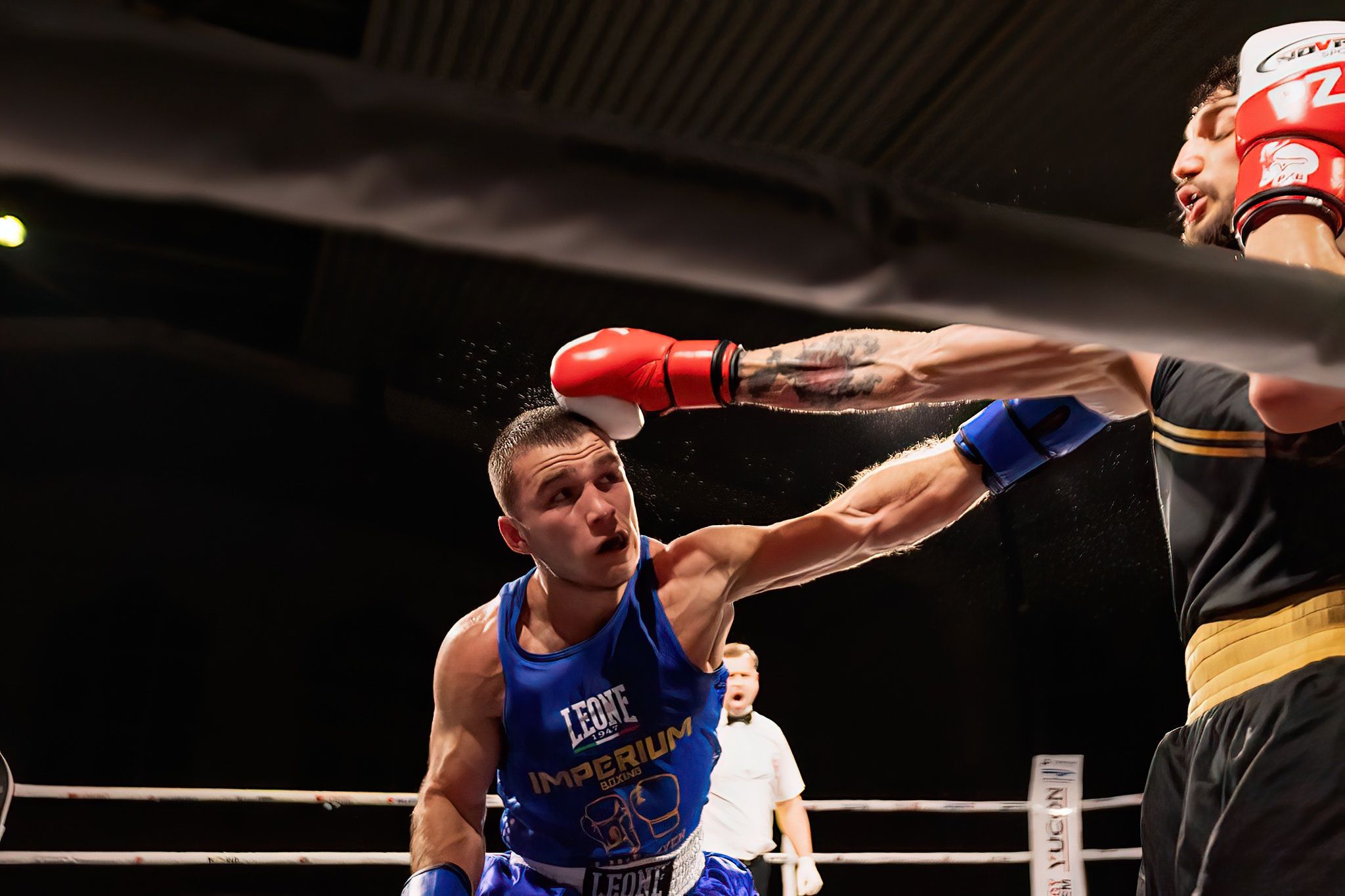 Polska Liga Boksu Pomorzanin Boxing Team - Imperium Wałbrzych