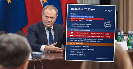 Olbrzymie wydatki Polski. Jak na dłoni widać priorytety