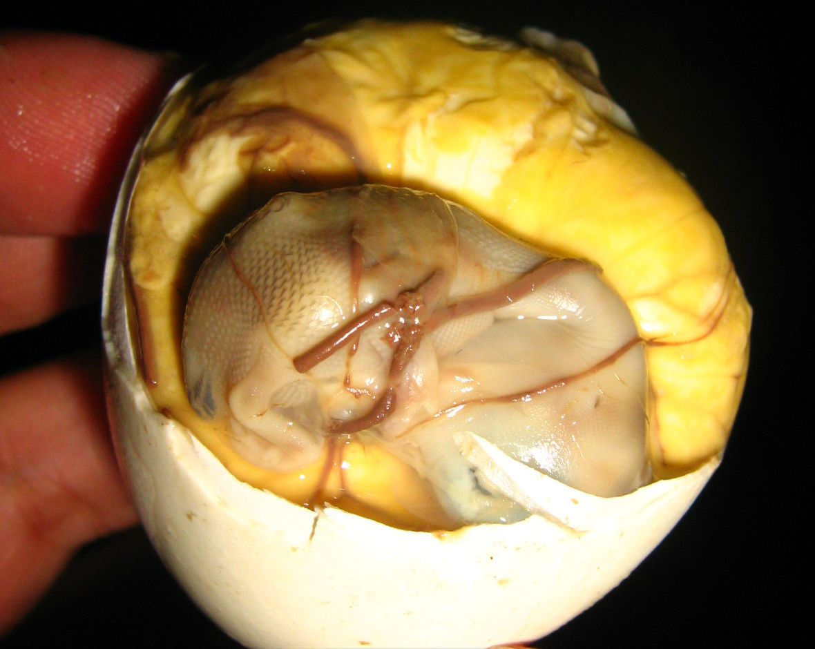 Balut (Fot. Wikimedia Commons/Ischaramoochie)