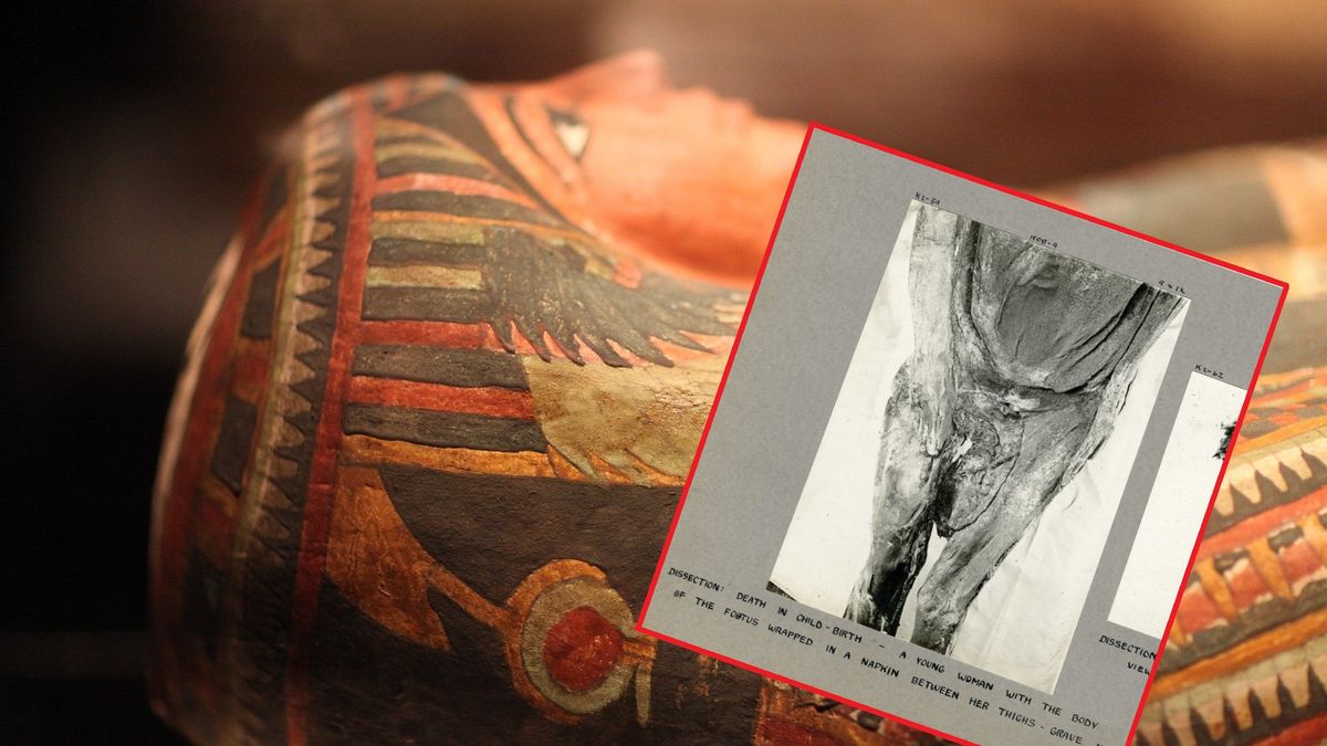 Mumia / zdjęcie poglądowe.