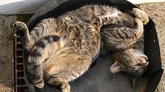 3 powody dla których warto późno wstawać 1