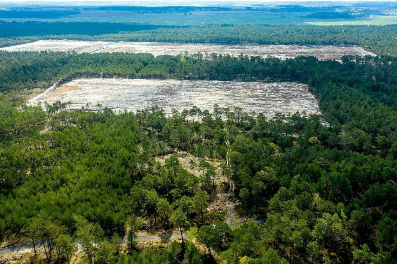 PEJ podpisały umowę z Elektrotimem