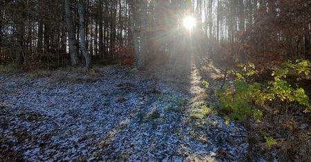 Pierwszy śnieg. Biały poranek na Pomorzu