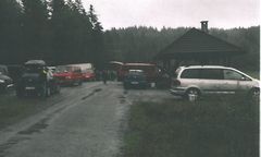 Mafia rumuńskich grzybiarzy powróciła. Pierwsza interwencja służb