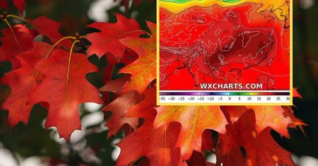 Szokująca prognoza. Temperatura przekroczy 40 stopni?!