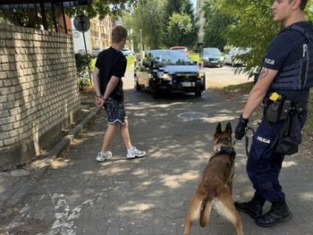 Lubin: 18-latek spowodował kolizję. Ukrył się w... wiacie śmietnikowej