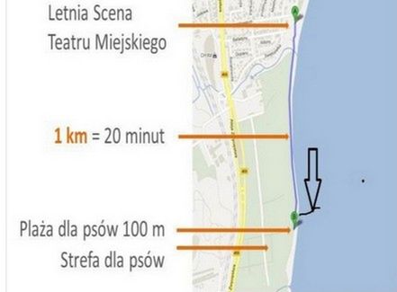 Na plażę z psem? Najlepiej do Trójmiasta 2