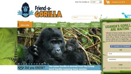 Wpłać jednego dolara i uratuj życie gorylom 1