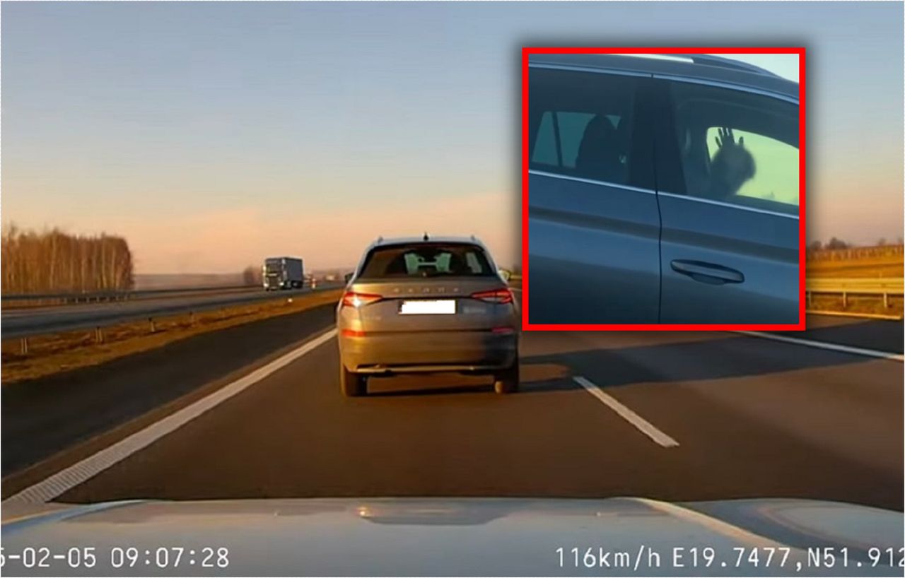 W sieci wrze. Bulwersujące zachowanie kobiety na autostradzie