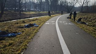 Chrzanów: Autostrada rowerowa w nowej odsłonie. Trwają prace porządkowe i nowe nasadzenia