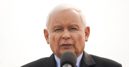 PiS pyta o migrantów. Ekspert obala narrację partii
