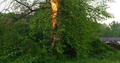 Piorun zapalił drzewo w miejscowości Bodzechów
