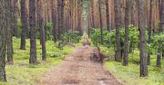 Kampinoski Park Narodowy. Zielony pomnik przyrody i historii