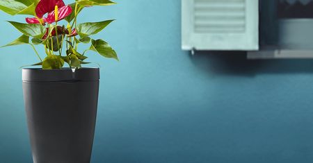 Parrot Pot czyli inteligentna… doniczka