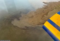 Katastrofa w USA. Tragiczne doniesienia