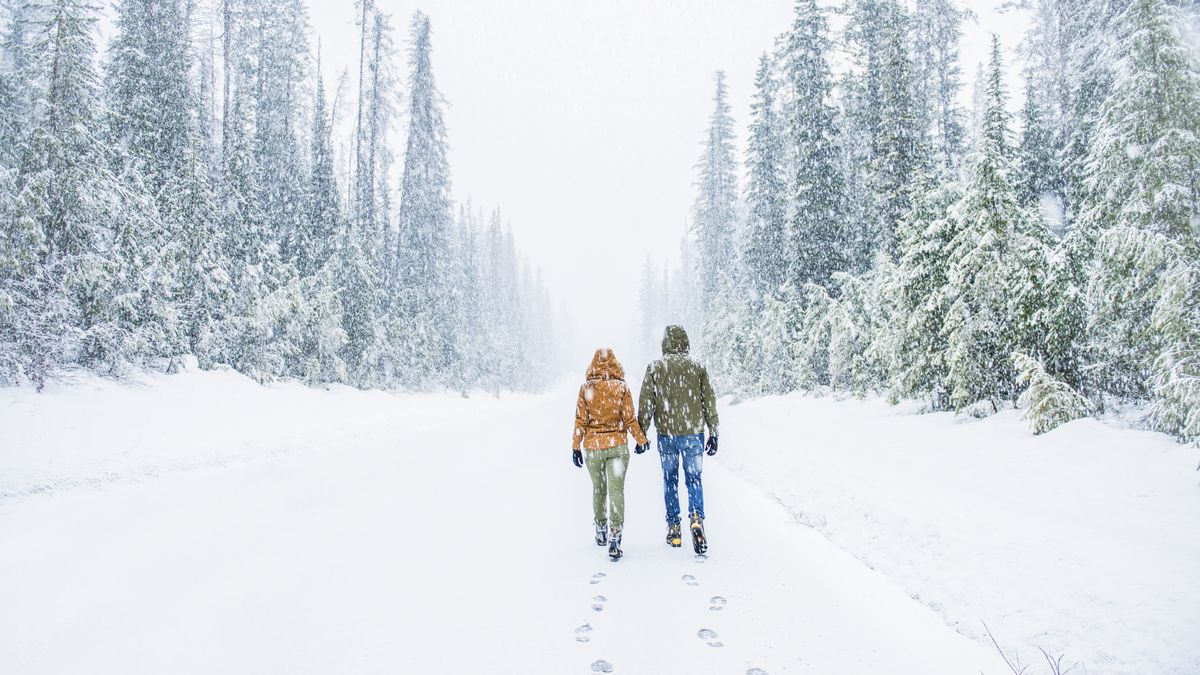 Zdjęcie ilustracyjne 
