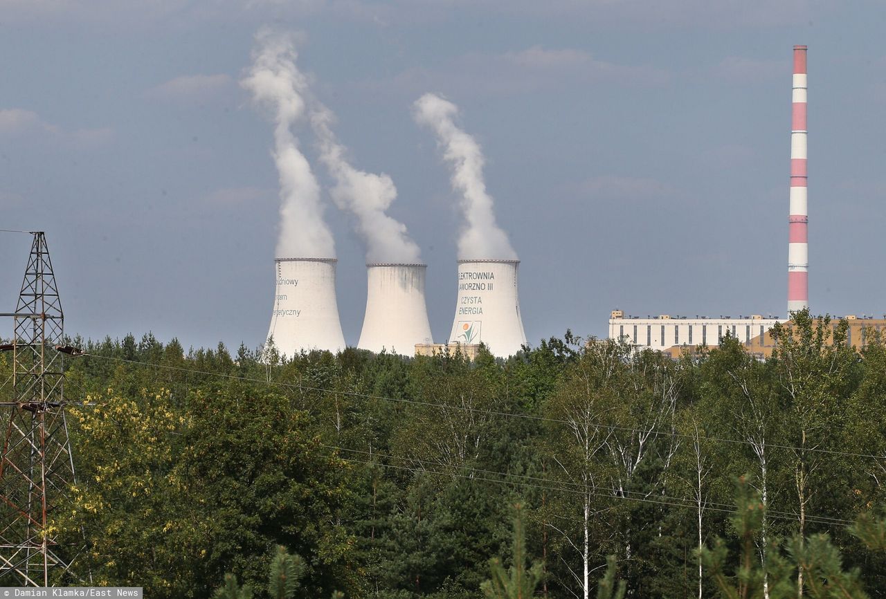 AI's energy impact: A nuanced perspective on global demand