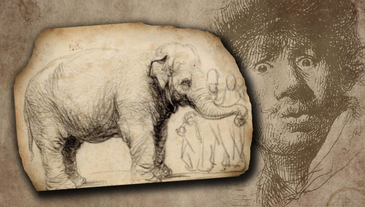 Hansken. Słoń, który pił piwo i pozował Rembrandtowi