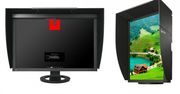 EIZO ColorEdge CG245W - graficzny monitor z kalibratorem
