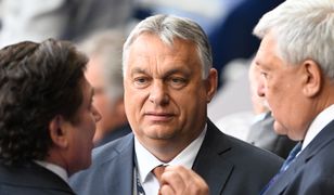 Pytanie o postawę Węgier wobec Rosji. Ekspert wzburzony