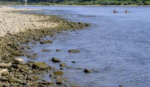Susza w Niemczech. Zakłócenia w transporcie rzecznym