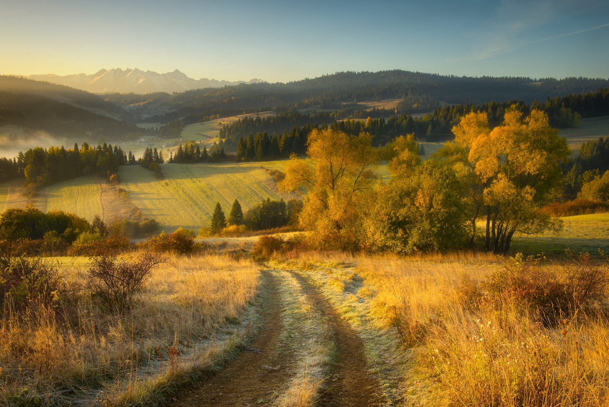 Jego zdjęcia można znaleźć na marcinkesek.com