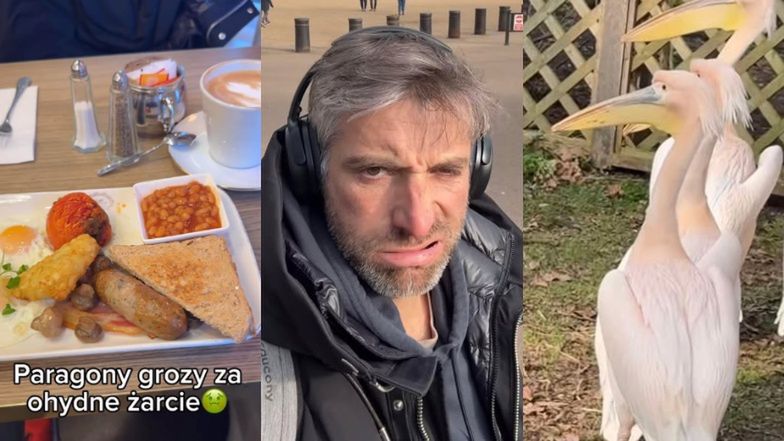 Maciej Dowbor narzeka na wycieczkę do Londynu