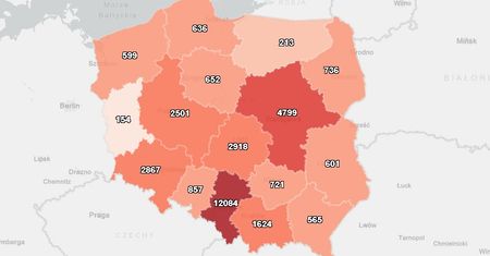 Koronawirus w Polsce. Ministerstwo Zdrowia potwierdza kolejne ofiary śmiertelne [Mapa zakażeń]
