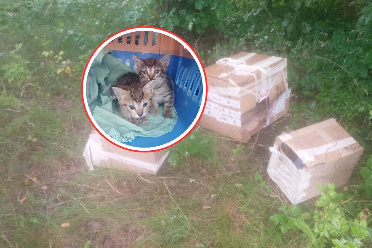 Przeraził się tym, co odkrył. Mieszkaniec zadzwonił po służby