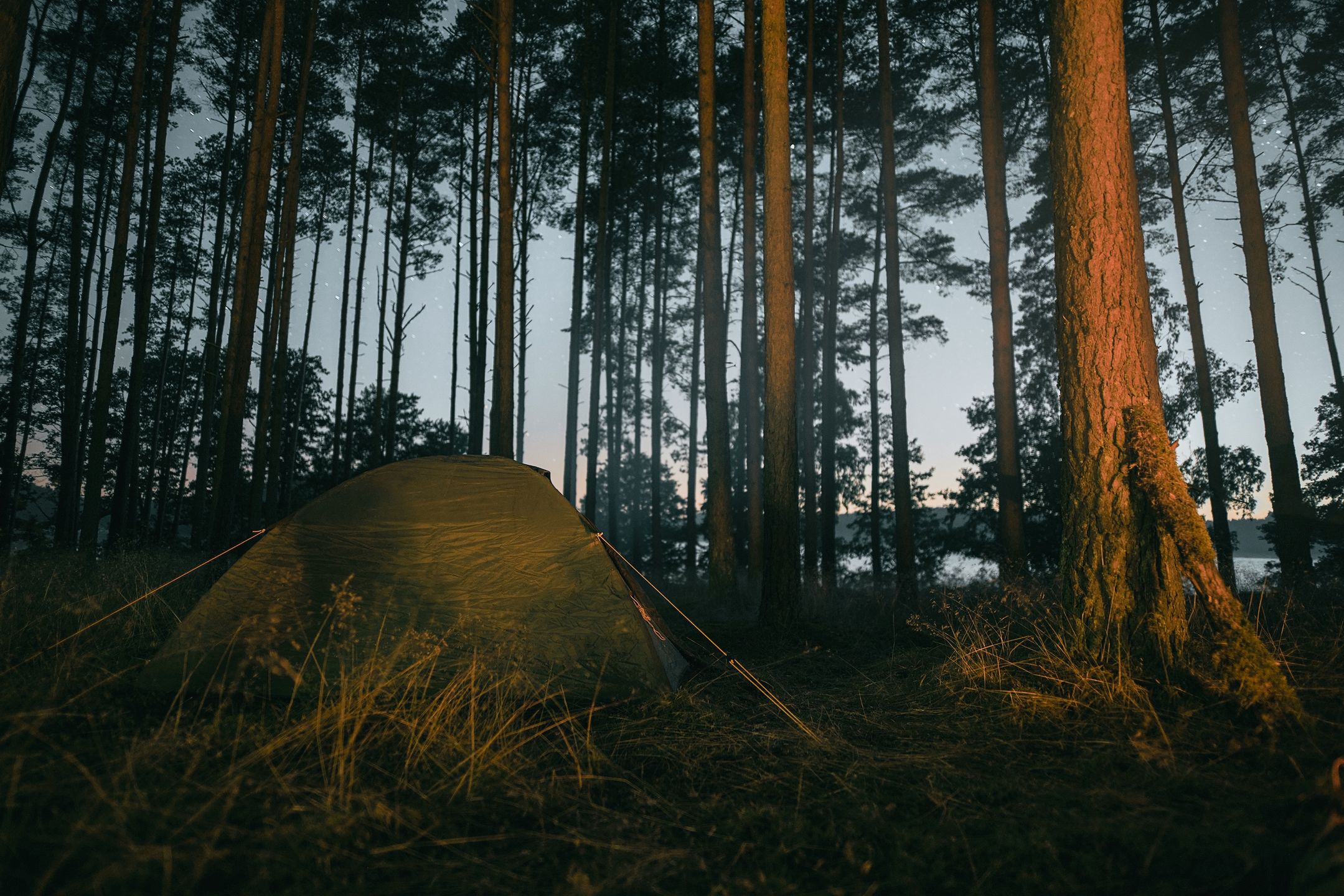 Noc pod namiotem w lesie to wspaniałe przeżycie
