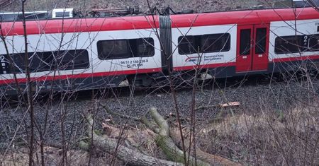 Wichura powaliło drzewo na trakcję kolejową