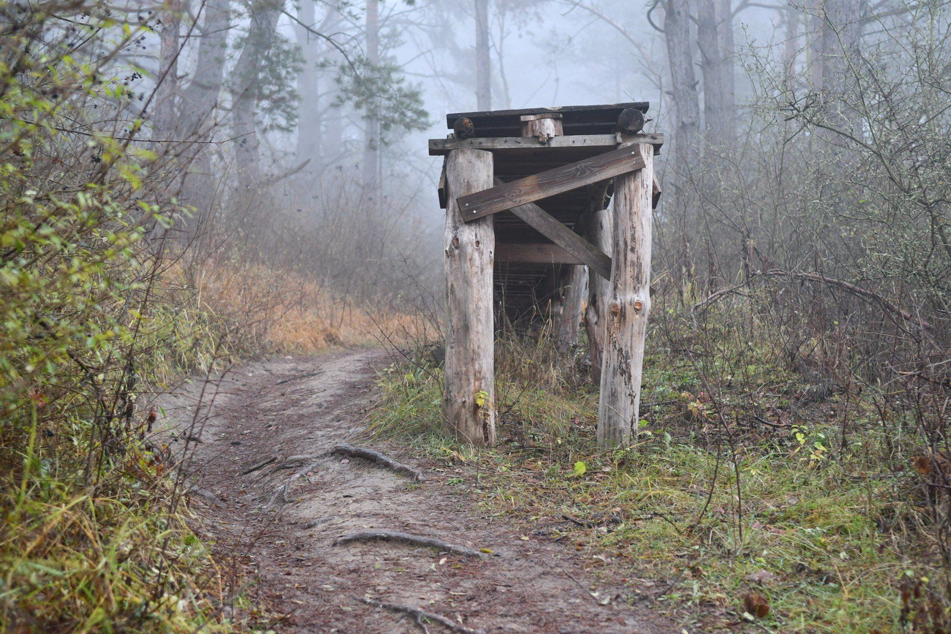 Nielegalny &#34;Bike Park&#34; na Wieprzycach zostanie rozebrany