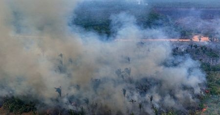 Dym pokrył połowę kontynentu. Naukowcy biją na alarm