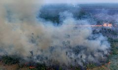 Dym pokrył połowę kontynentu. Naukowcy biją na alarm