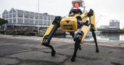 Robotyczny pies od Boston Dynamics trafi do Ukrainy. Będzie wykonywać niebezpieczne misje