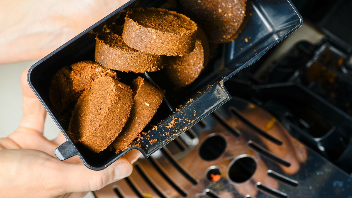 Fusy po kawie pomogą roślinom zimą