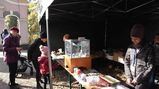 Pakość: Zbliża się Wszystkich Świętych. Kwesta na rzecz Kalwarii