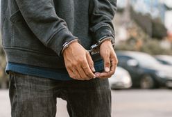 "Odbierak" z okolic Legionowa wpadł w Olsztynie. Grozi mu osiem lat