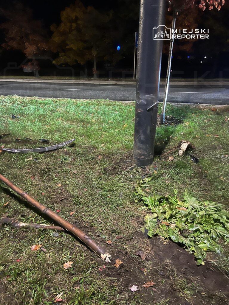 Złamany słup oświetleniowy na trawniku, obok leżące gałęzie i liście, w tle widoczna droga.