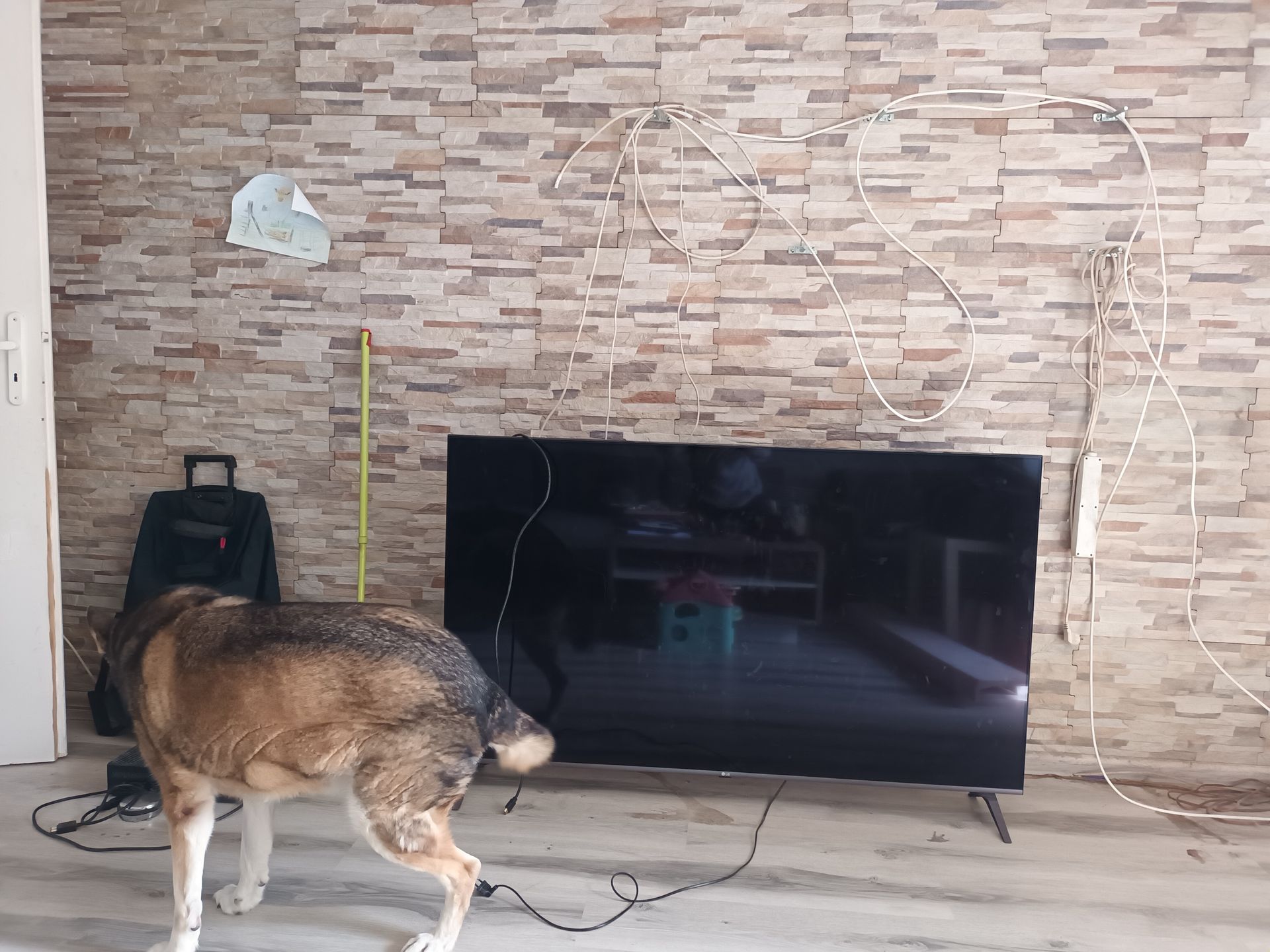 Mieszkańcy ul. Ignuta uciekają przed ewentualną powodzią