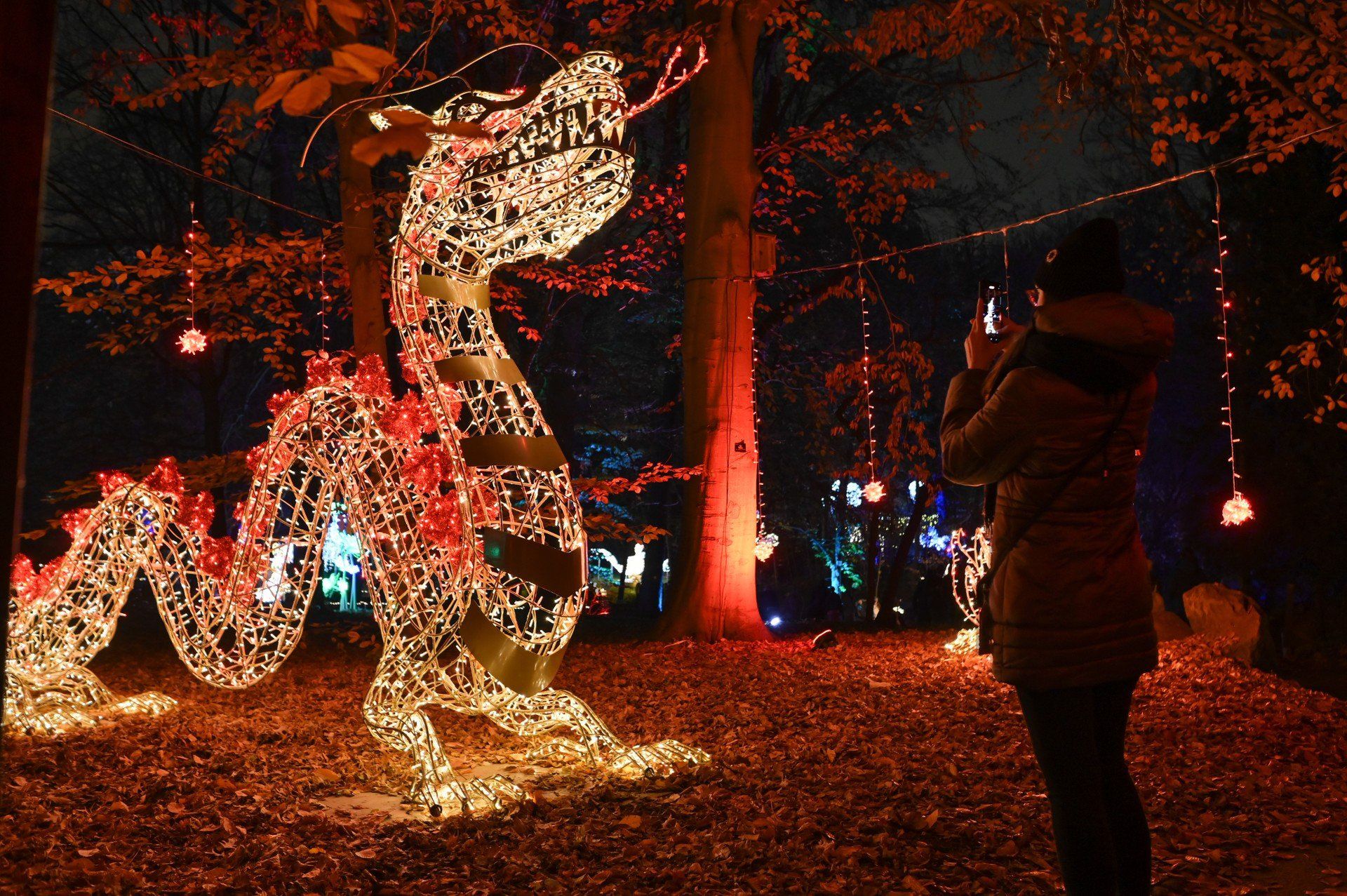 Magiczny Botaniczny rozbłyśnie po raz 5.